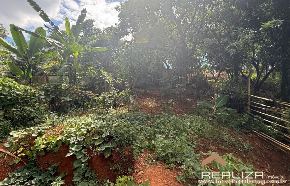 Foto Im&oacute;vel 1656