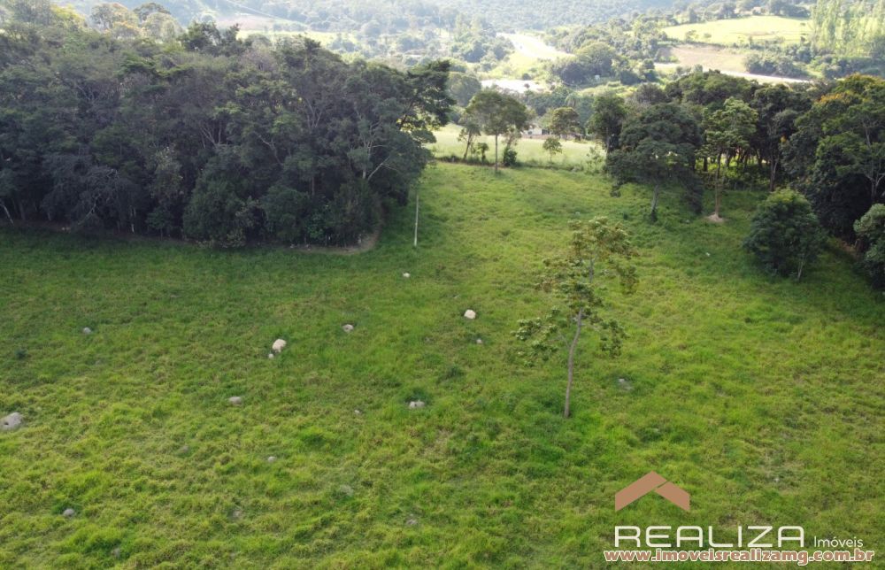 Foto Im&oacute;vel 1662