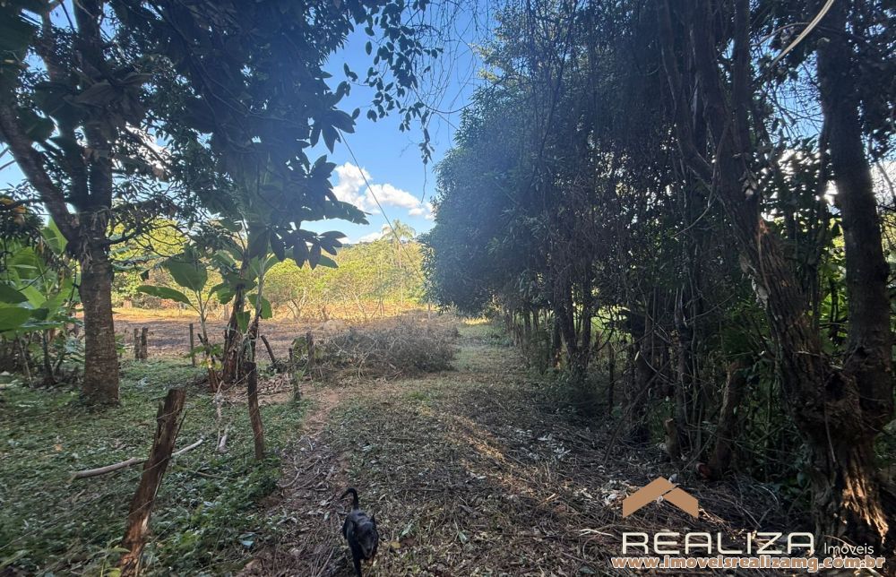 Foto Im&oacute;vel 1662