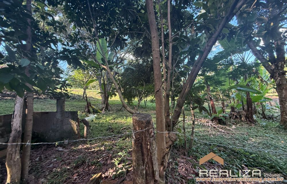 Foto Im&oacute;vel 1662