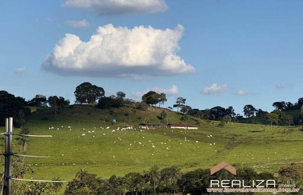 Foto Im&oacute;vel 1662