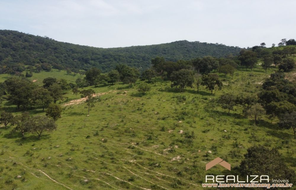 Foto Im&oacute;vel 1663