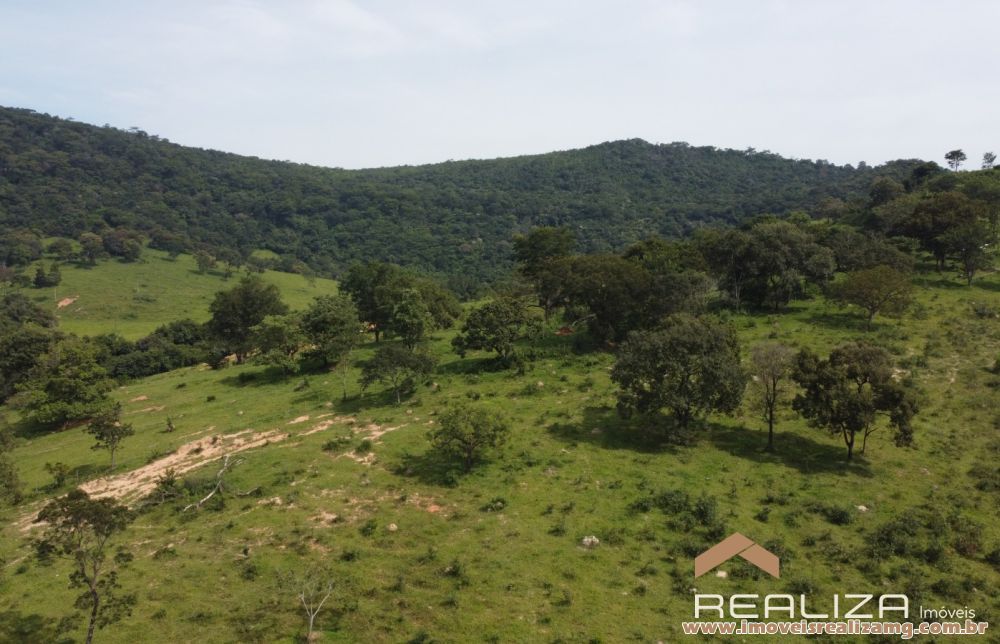 Foto Im&oacute;vel 1663