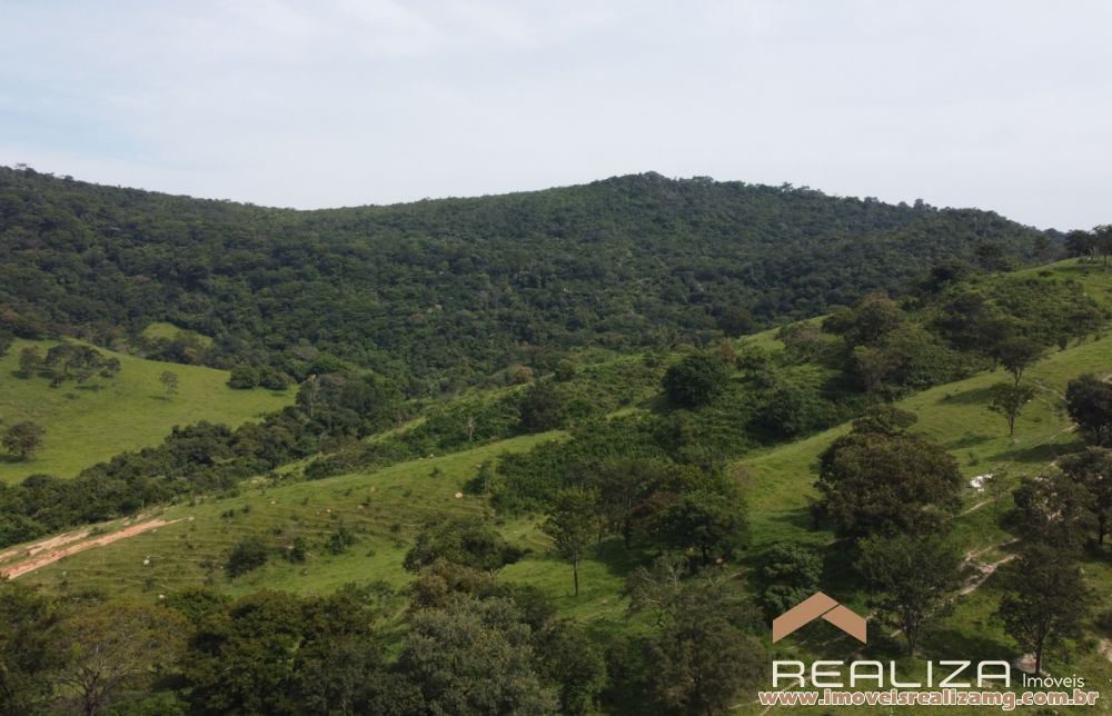 Foto Im&oacute;vel 1663