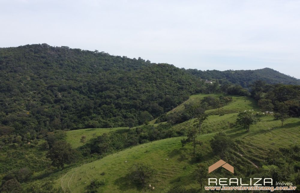 Foto Im&oacute;vel 1663