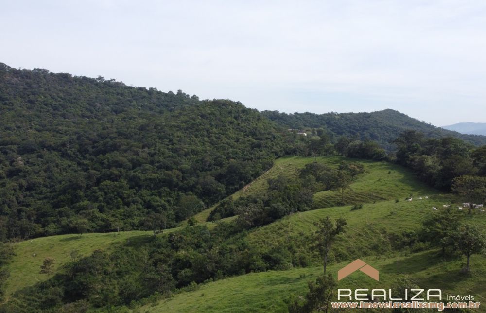 Foto Im&oacute;vel 1663