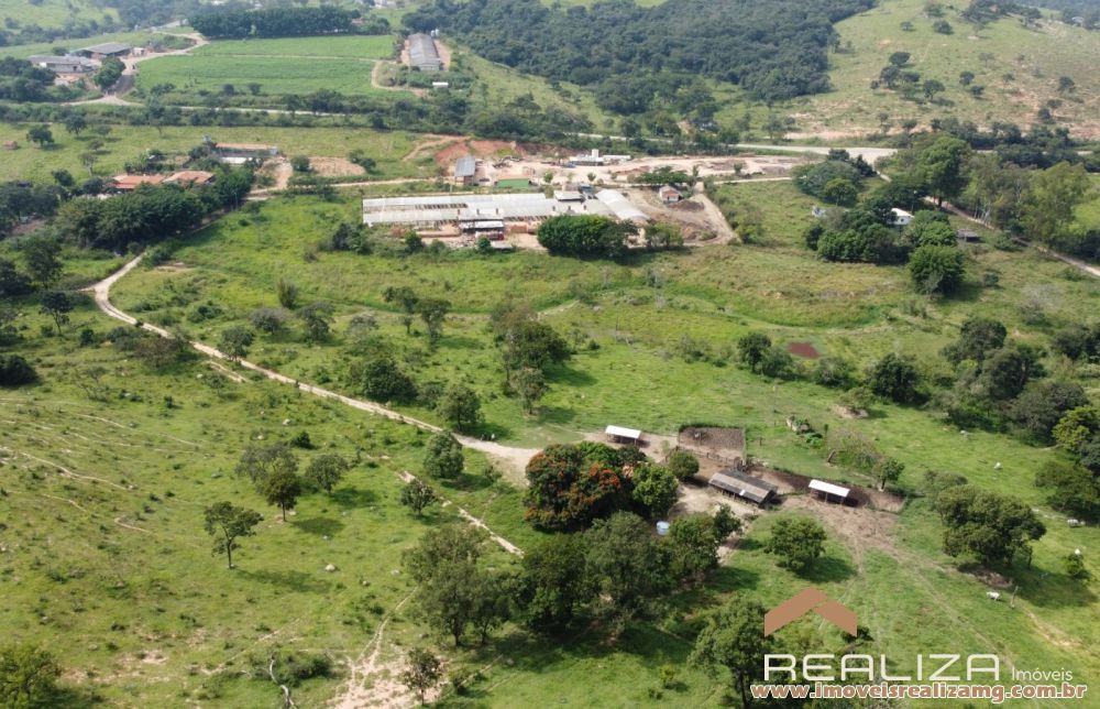 Foto Im&oacute;vel 1663