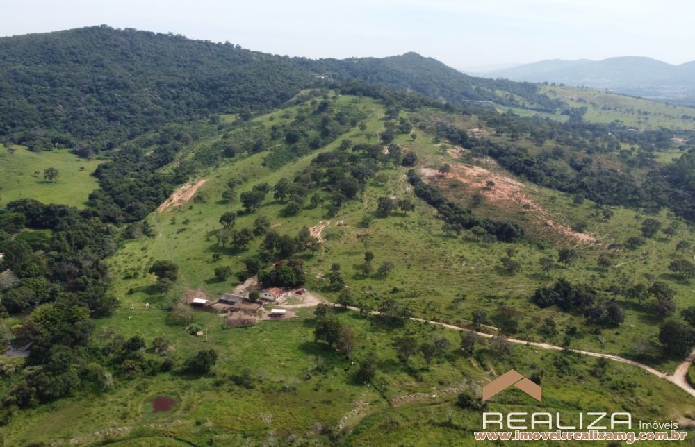 Foto Im&oacute;vel 1663