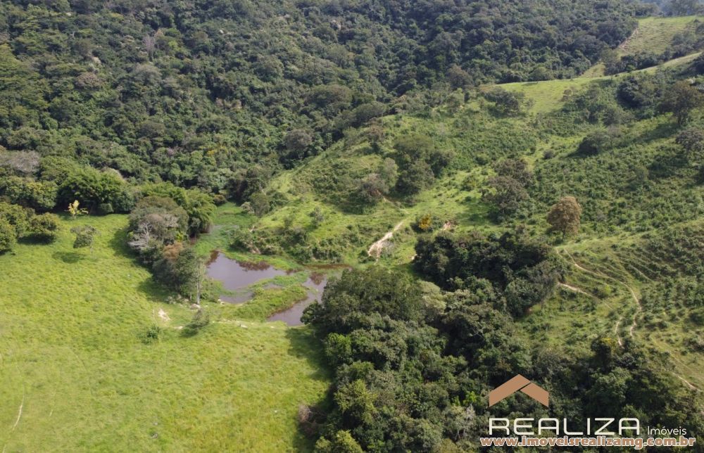 Foto Im&oacute;vel 1663