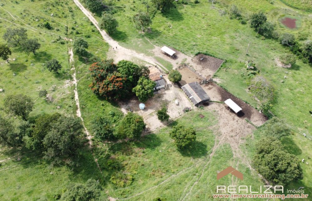 Foto Im&oacute;vel 1663