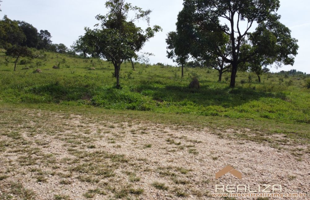 Foto Im&oacute;vel 1663