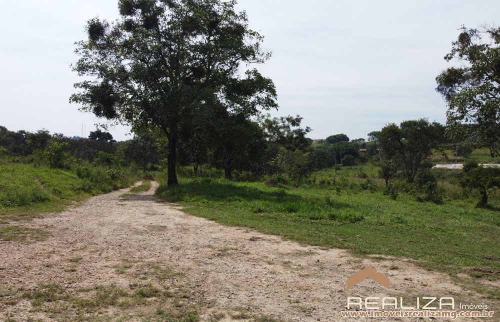 Foto Im&oacute;vel 1663