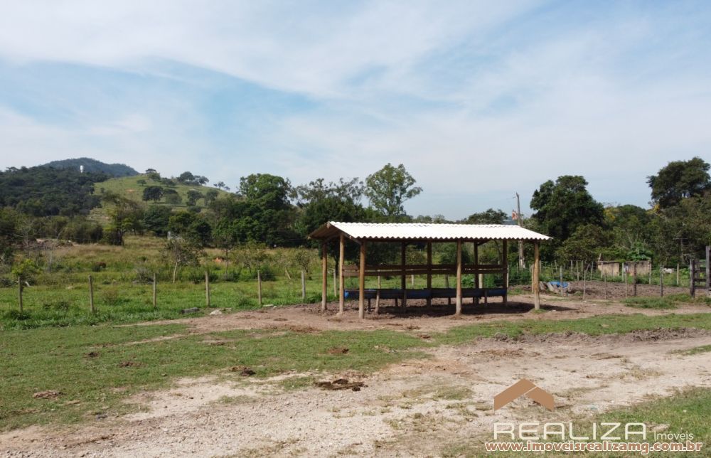 Foto Im&oacute;vel 1663