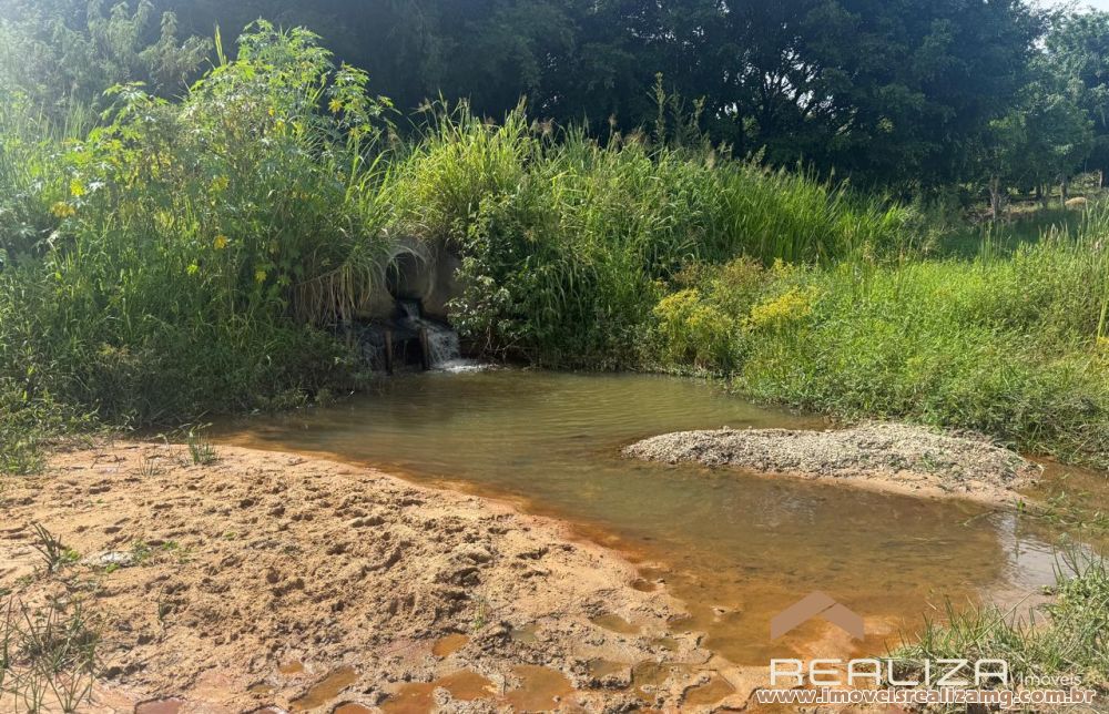 Foto Im&oacute;vel 1663