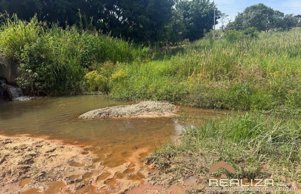 Foto Im&oacute;vel 1663