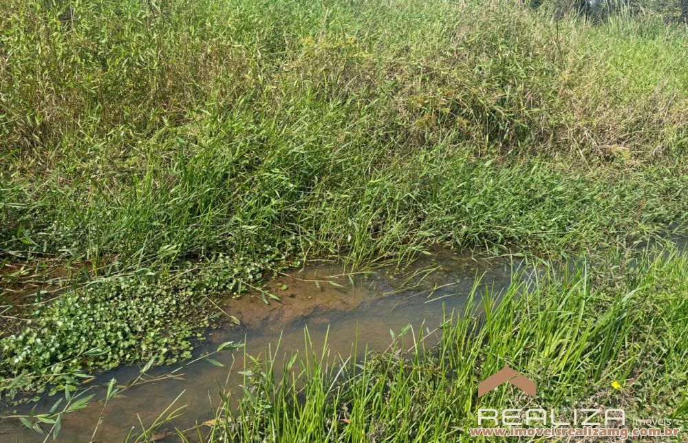 Foto Im&oacute;vel 1663