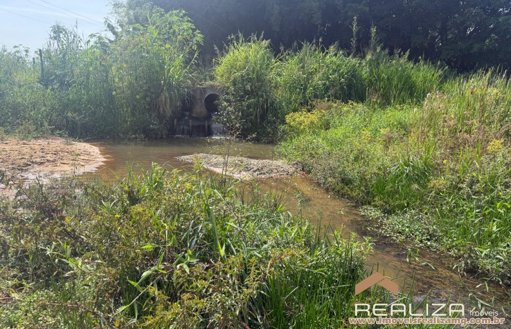 Foto Im&oacute;vel 1663