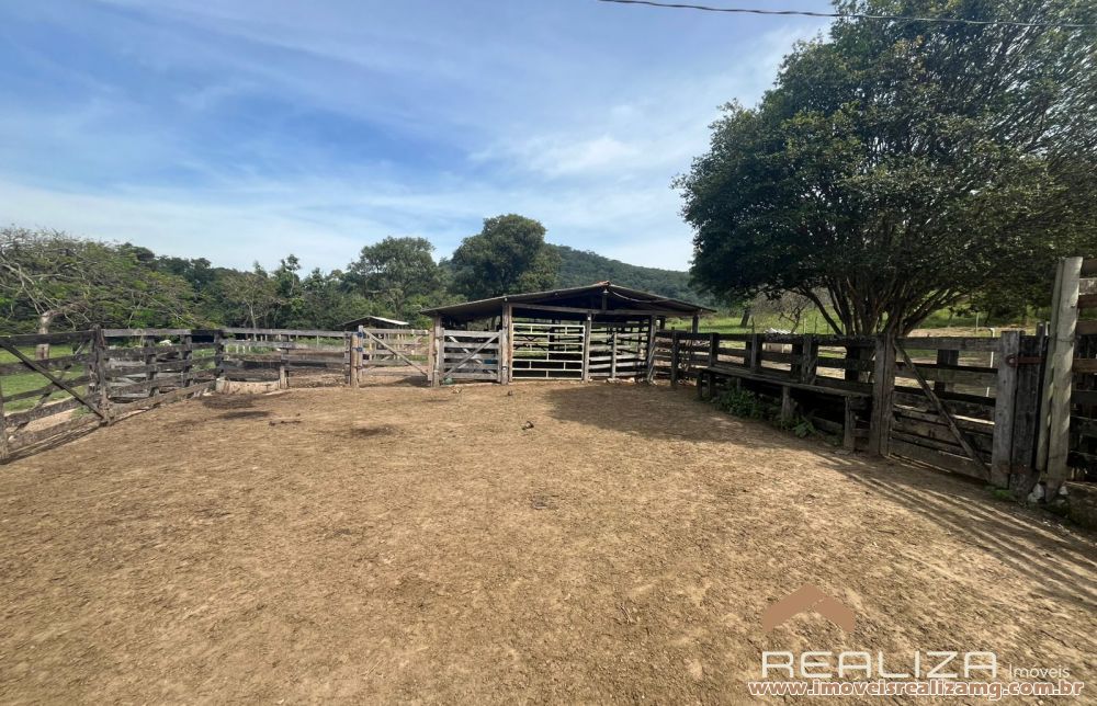 Foto Im&oacute;vel 1663