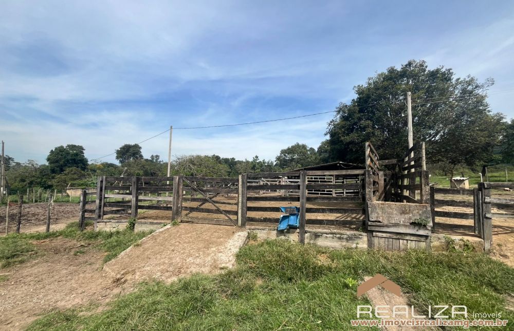 Foto Im&oacute;vel 1663