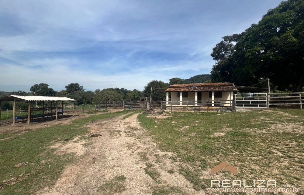 Foto Im&oacute;vel 1663