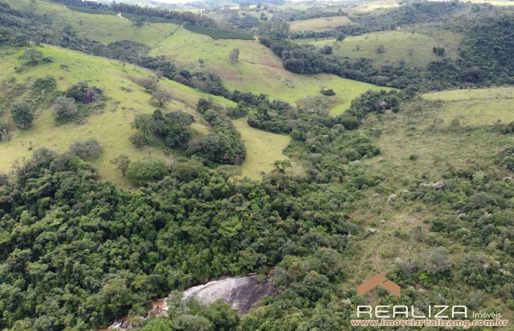 Foto Im&oacute;vel 1666