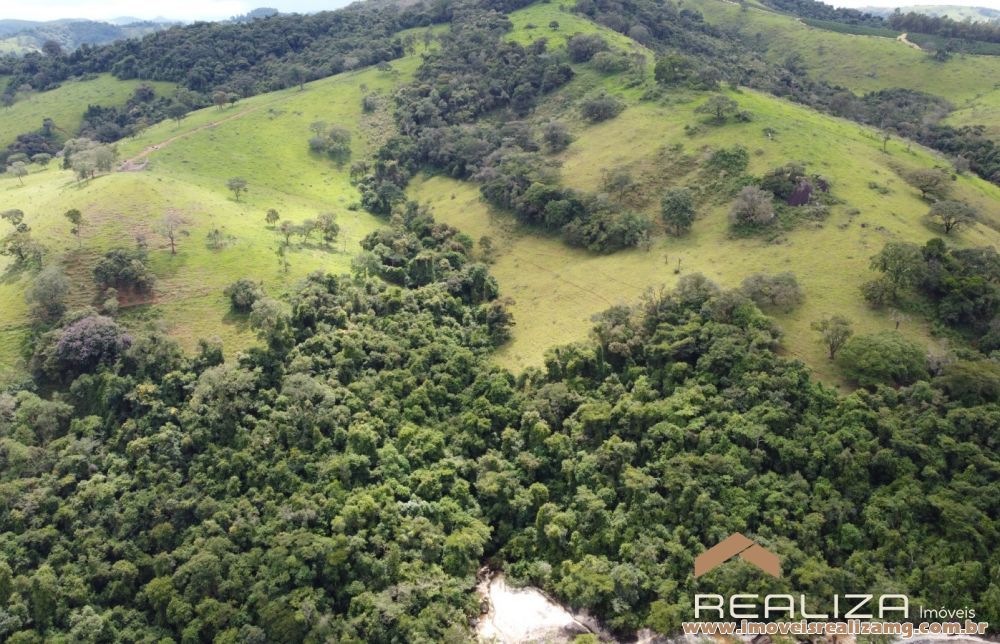 Foto Im&oacute;vel 1666