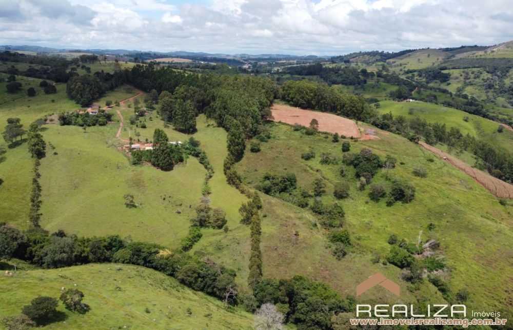 Foto Im&oacute;vel 1666