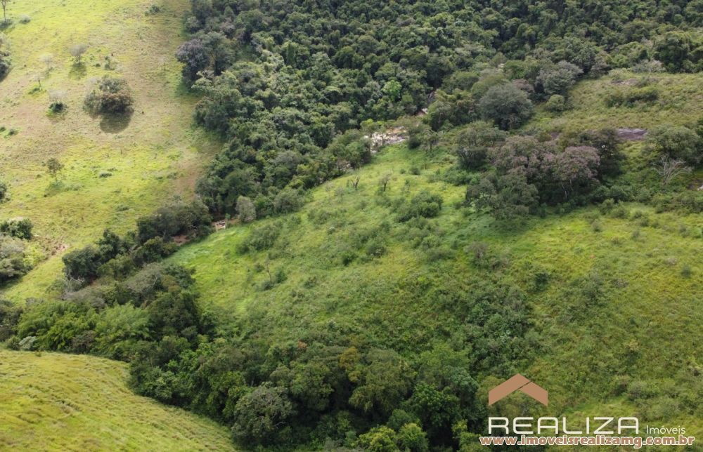 Foto Im&oacute;vel 1666