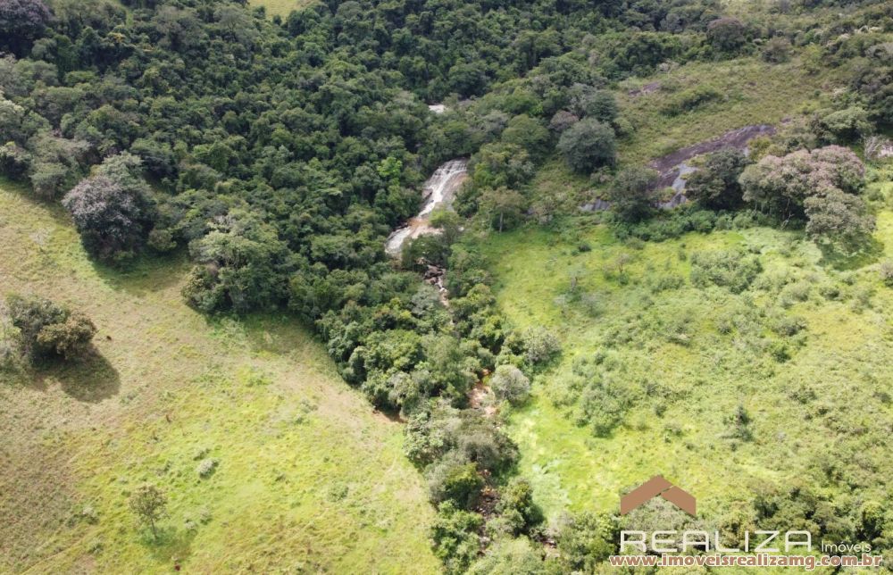 Foto Im&oacute;vel 1666