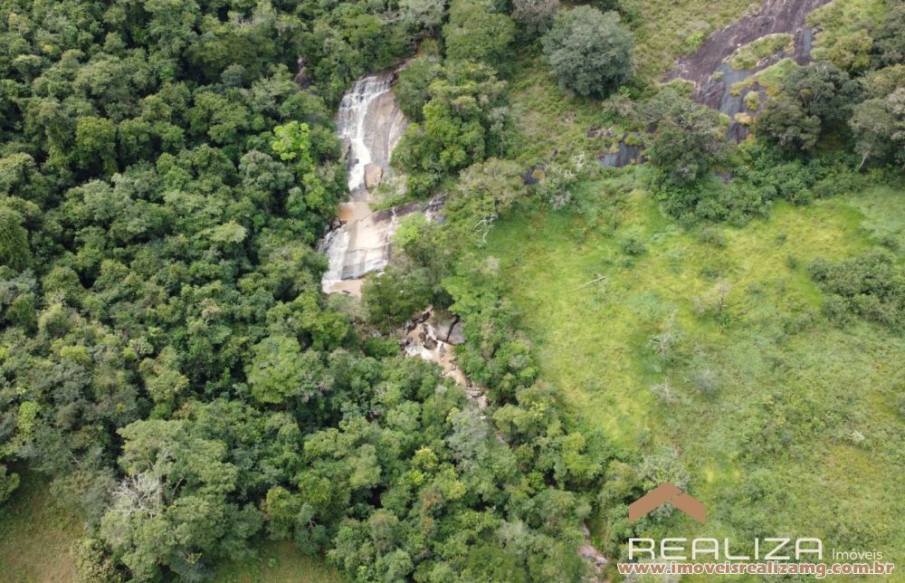 Foto Im&oacute;vel 1666