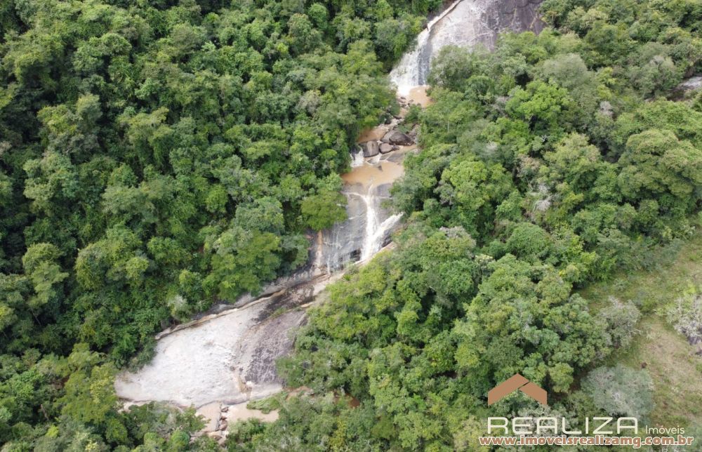 Foto Im&oacute;vel 1666