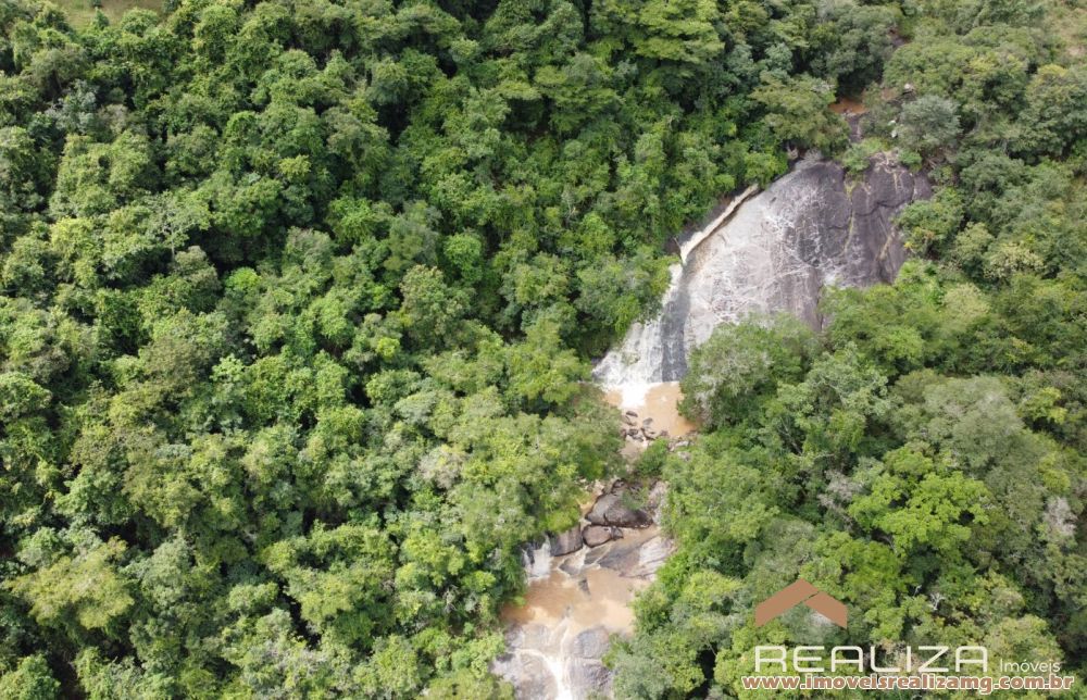 Foto Im&oacute;vel 1666