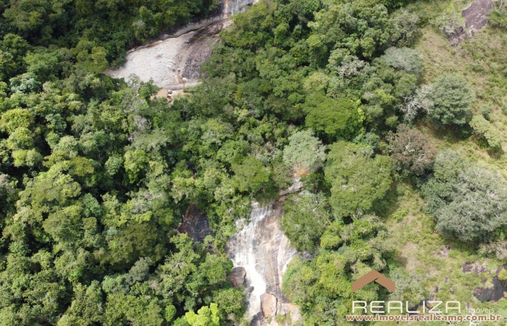 Foto Im&oacute;vel 1666