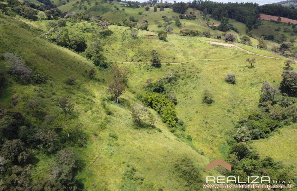 Foto Im&oacute;vel 1666