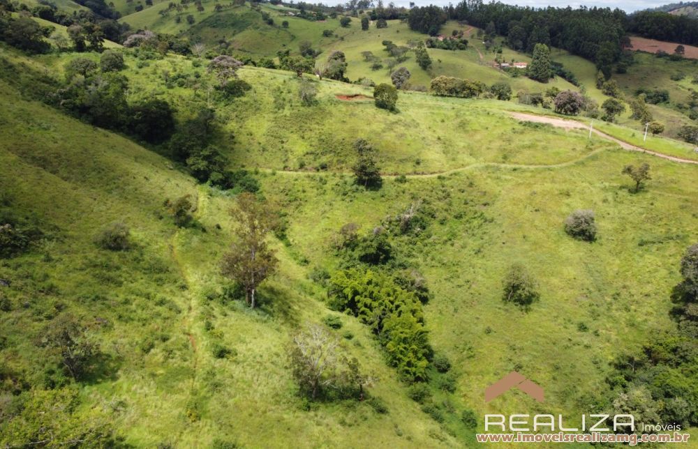 Foto Im&oacute;vel 1666