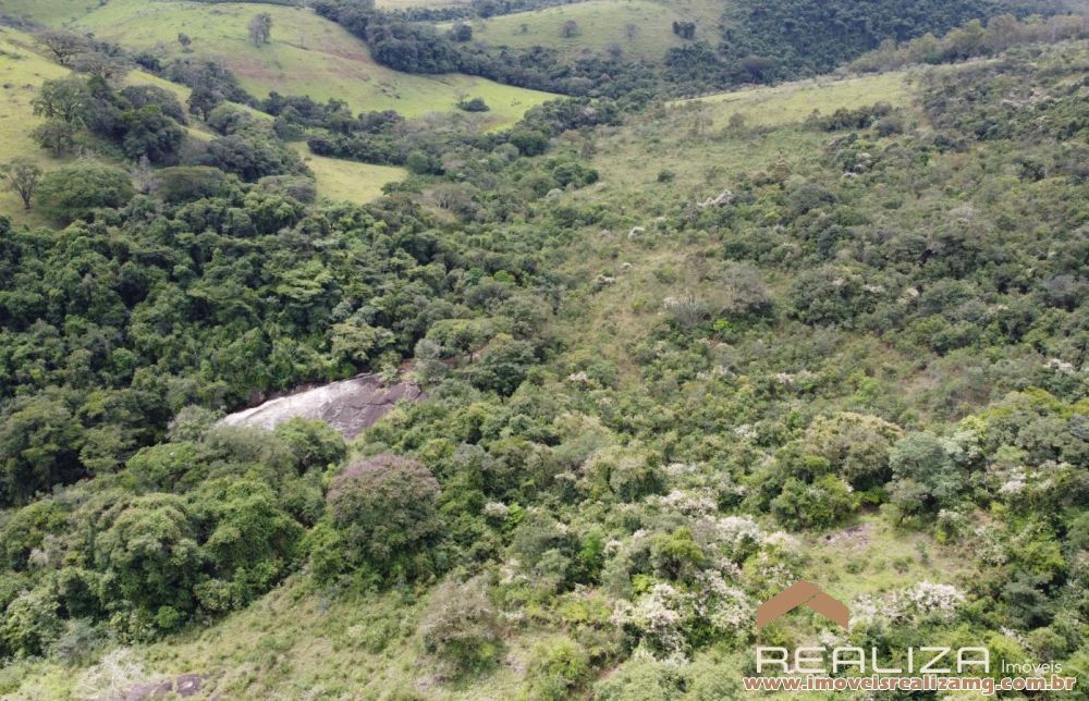 Foto Im&oacute;vel 1666