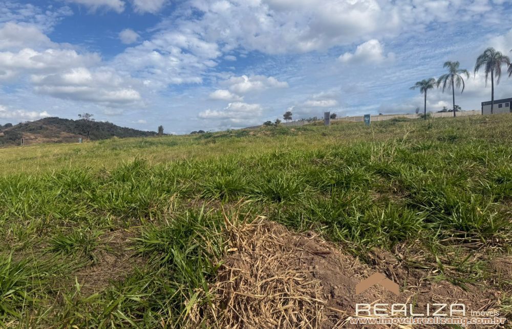 Foto Im&oacute;vel 1709