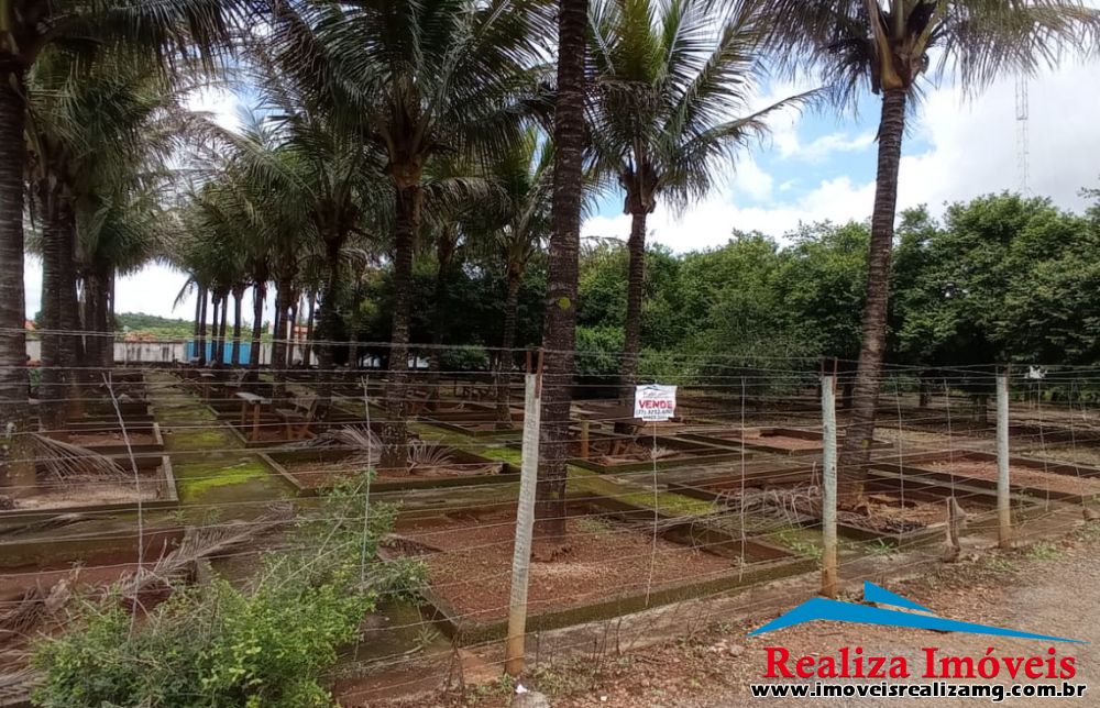 Foto Imóvel 785