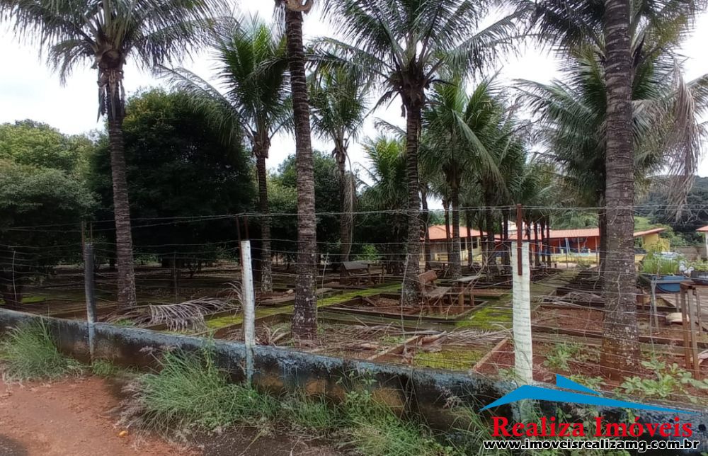 Foto Imóvel 785